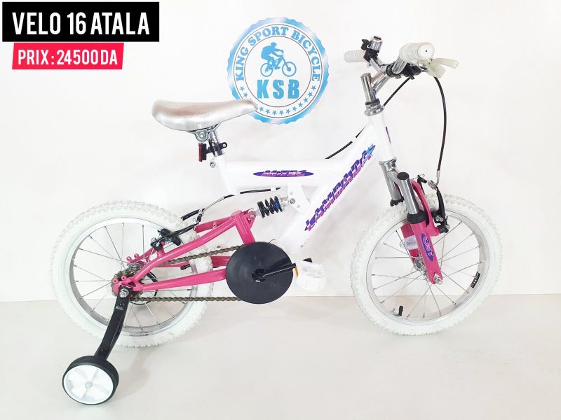VÉLO DE COURSE ATALA SLR Aluminium Shimano TIAGRA 2X10 B/Green 2024 EUR 763,17 - FR