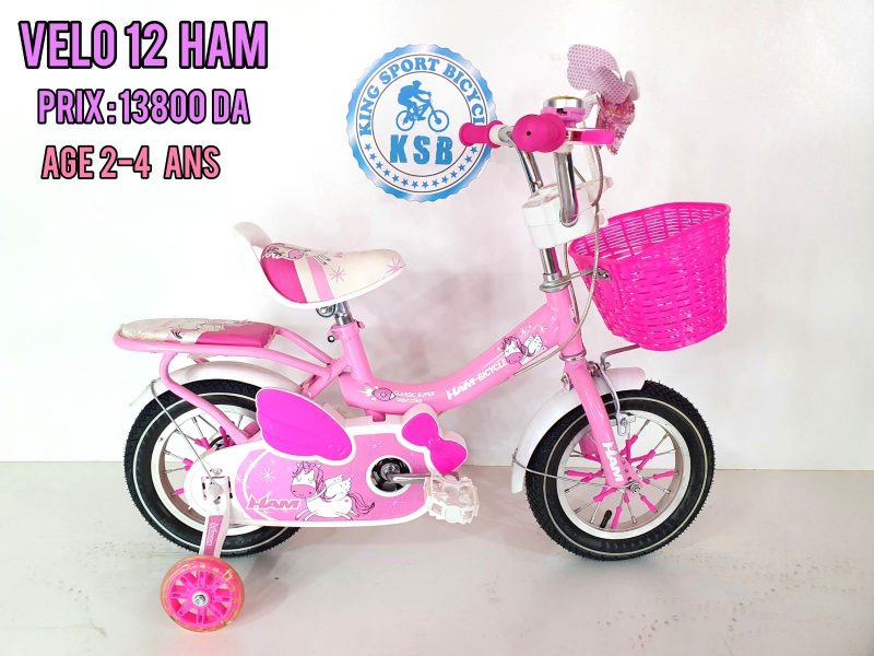 VELO 12 HAM