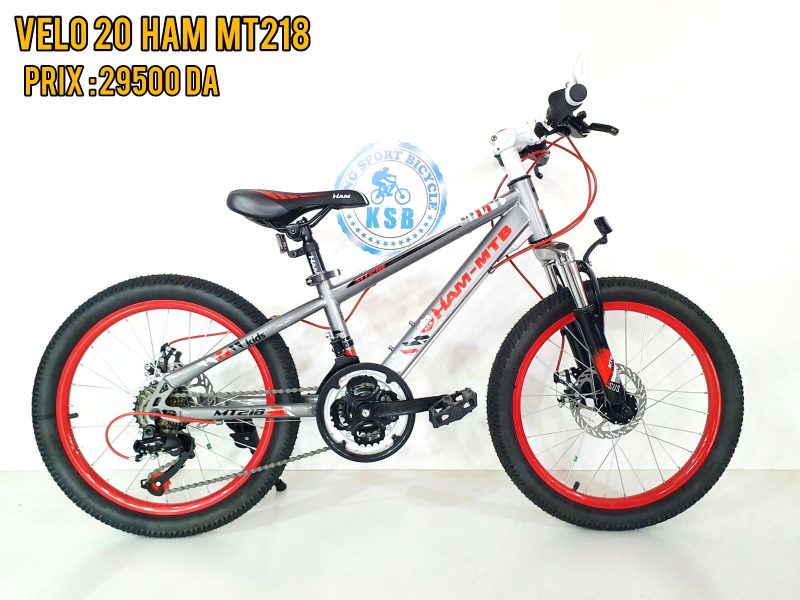 VELO 20 HAM MT218