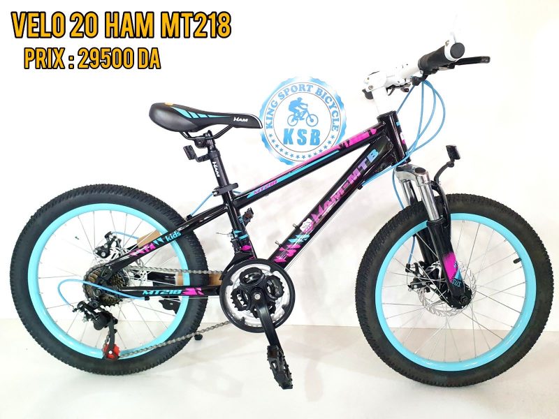 VELO 20 HAM MT218